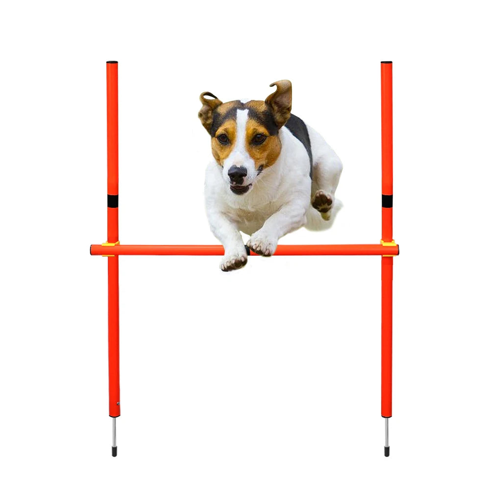 Dog jumping over a portable, orange outdoor agility hurdle training pole for exercise and pet sports.