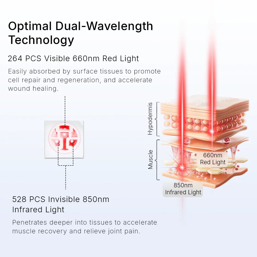 Diagram showing 660nm red and 850nm infrared light penetrating layers of skin and muscle tissue for therapeutic relief.