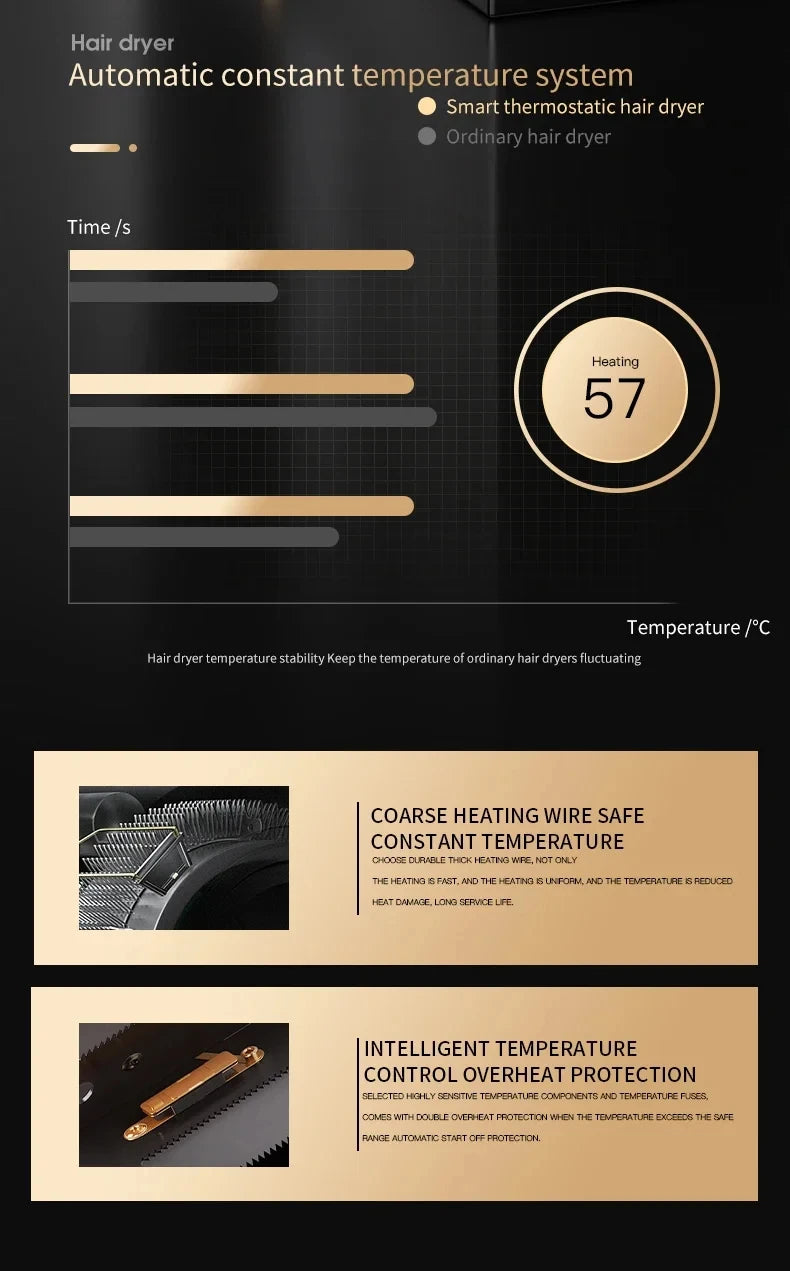 HOMEFISH 2000W hair dryer infographic showing constant temperature control, overheating protection, and heating elements.