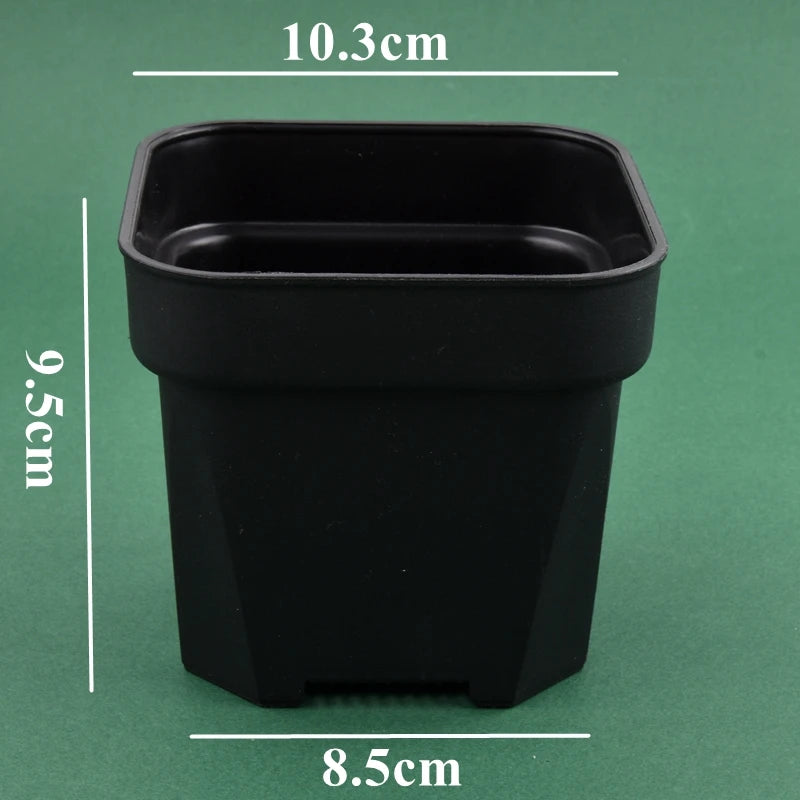 Black square flower pot planter for succulents, 9.6cm tall, 8.5cm wide