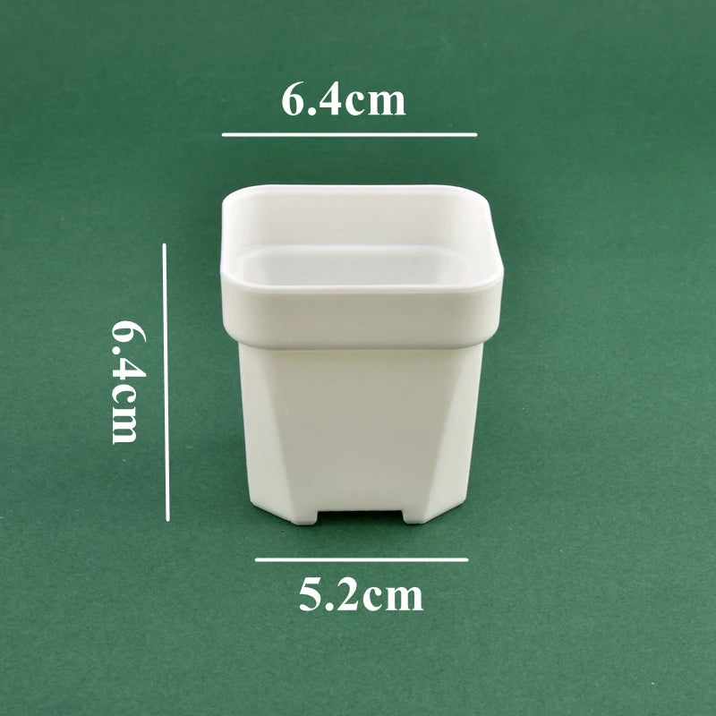 White square plastic planter pot, 6.4 cm size