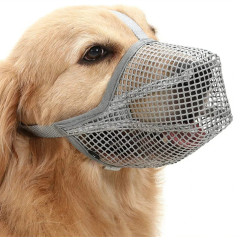 Golden retriever wearing an adjustable grey breathable mesh dog muzzle for anti-bite and lick control.