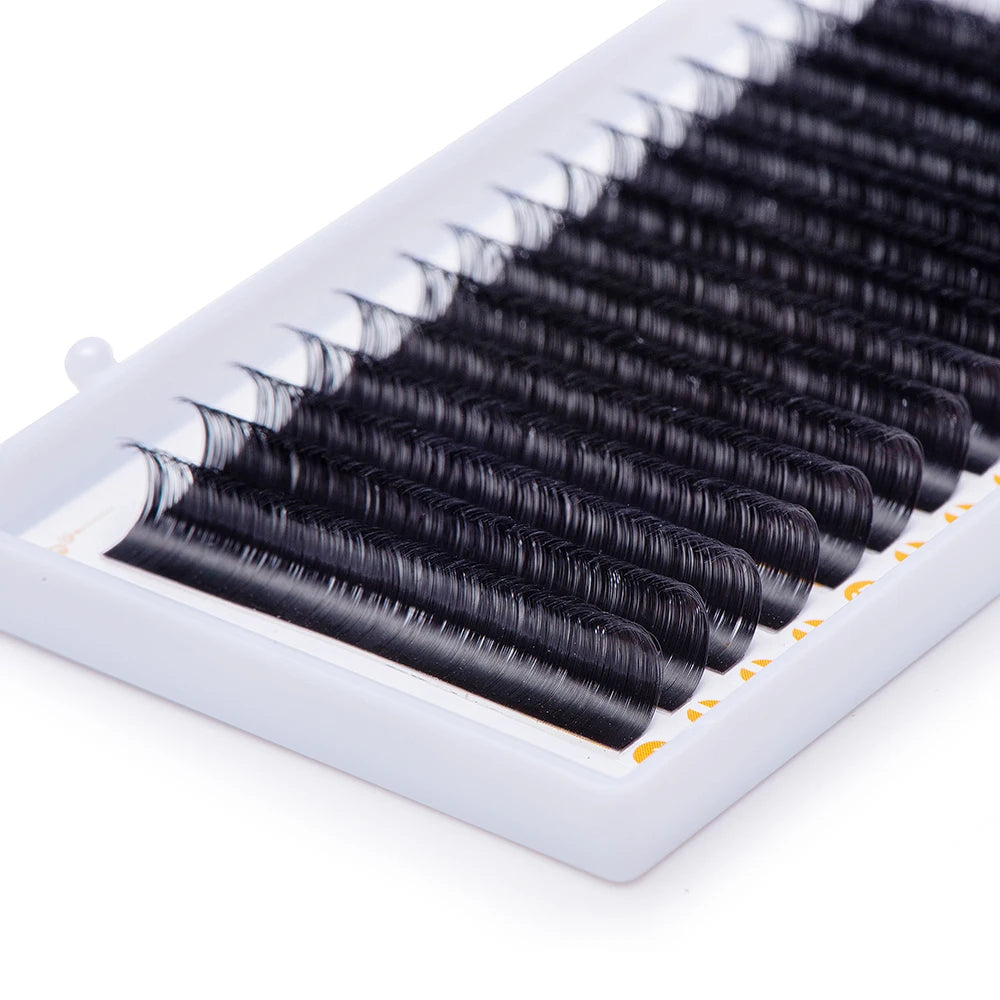 Black synthetic eyelash extension strips arranged in rows on a white plastic tray for professional lash application.