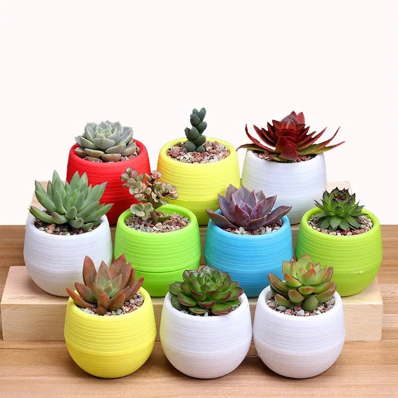 Flower Pot Set Plastic Color Breathable Mini Gardening Plant Tools Household Balcony Desktop Greenery Succulent Flowerpot