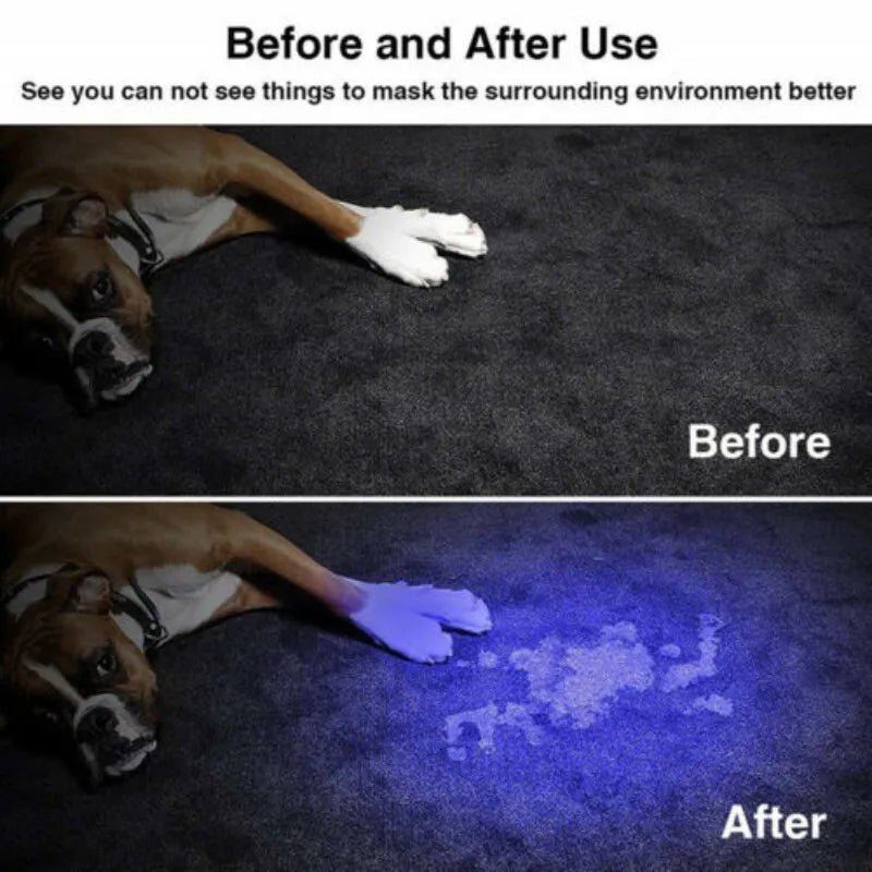 Portable UV flashlight detecting dog urine stains on carpet for easy pet mess cleanup and home cleaning.