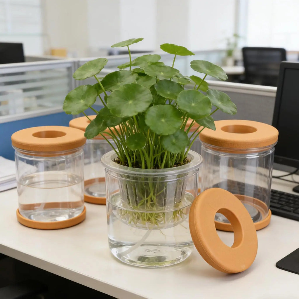 Clear hydroponic plant pots with orange lids on desk, showing leafy greens