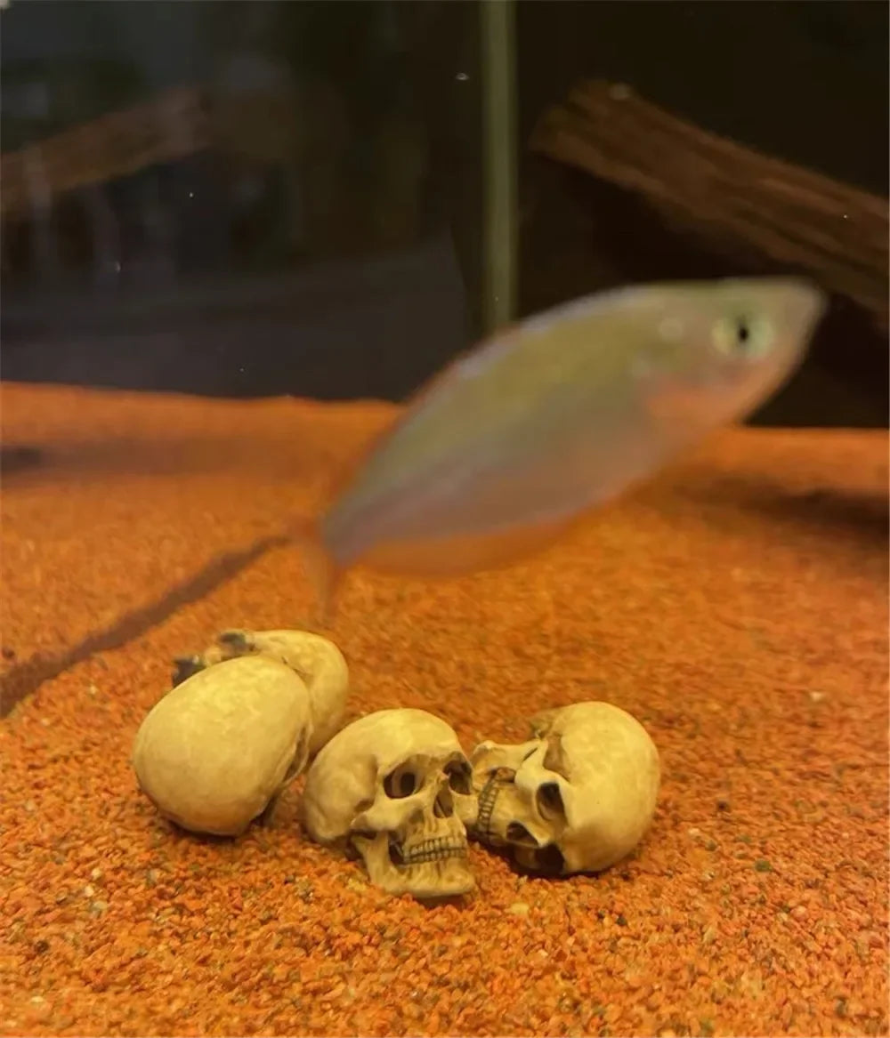 Miniature resin human skull aquarium decoration for fish tank and reptile terrarium decor. Realistic beige bone aesthetic.