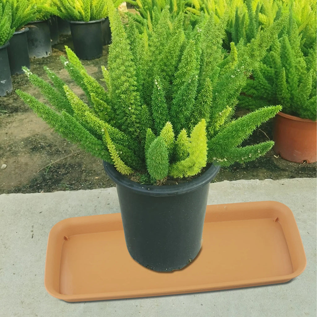 Water Tray Floor Flower Pot Tray 57.5*22.5*3.5cm Plastic Flower Pot Outdoor Garden Supplies Plant Rectangular Pot