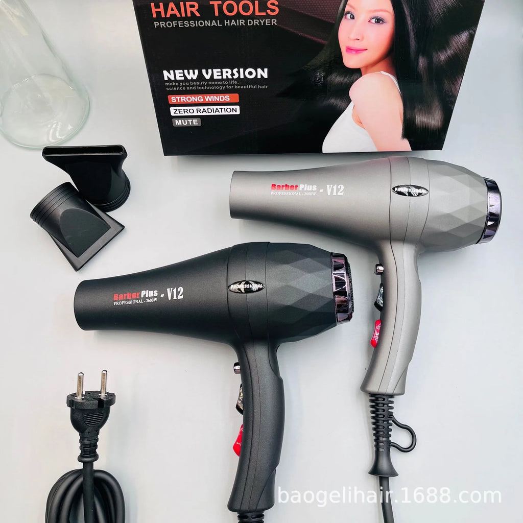 2600W professional hair dryer set in black and grey with concentrator nozzles for fast salon-quality styling.