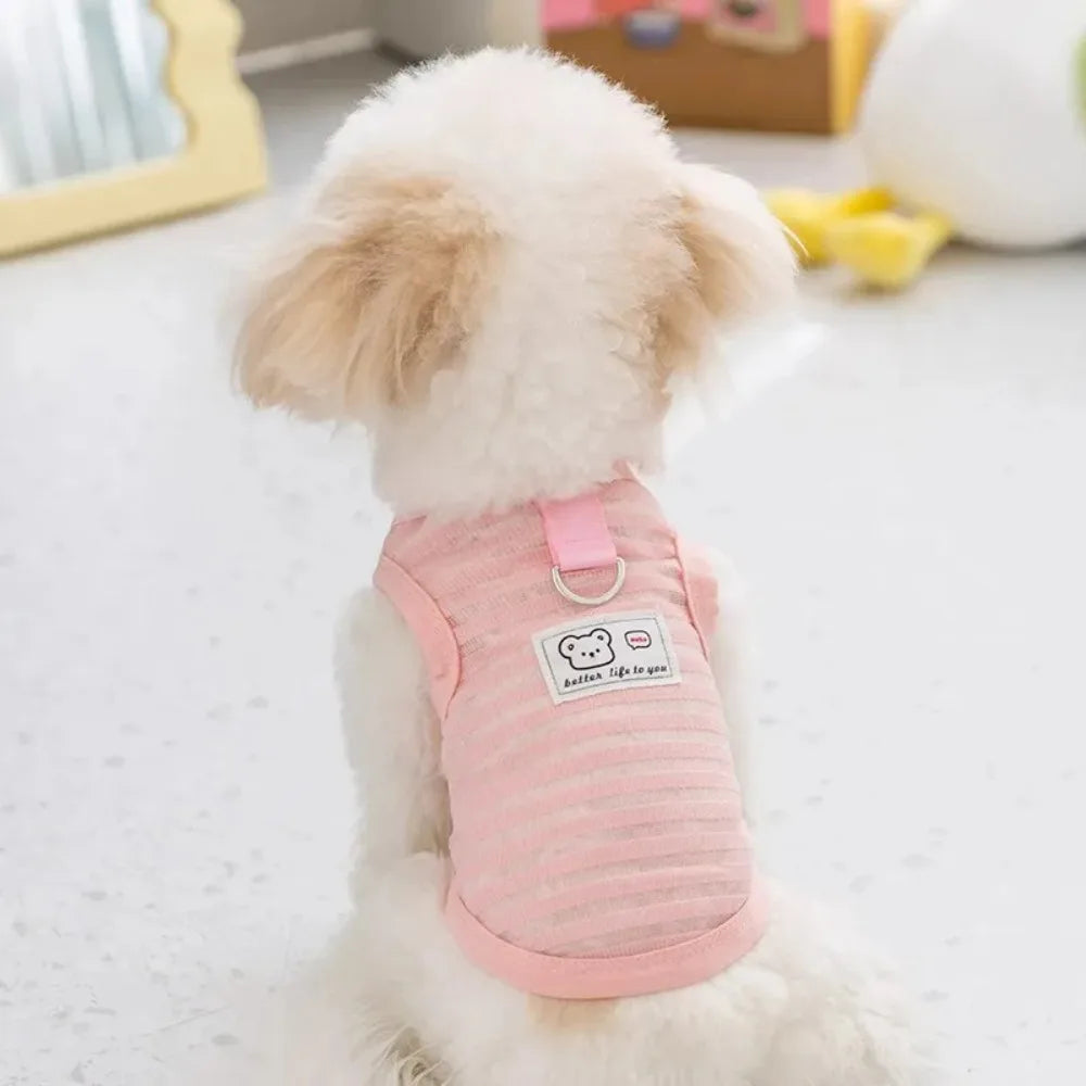 Small dog wearing a breathable pink striped cooling vest with a leash D-ring for comfortable summer walks.