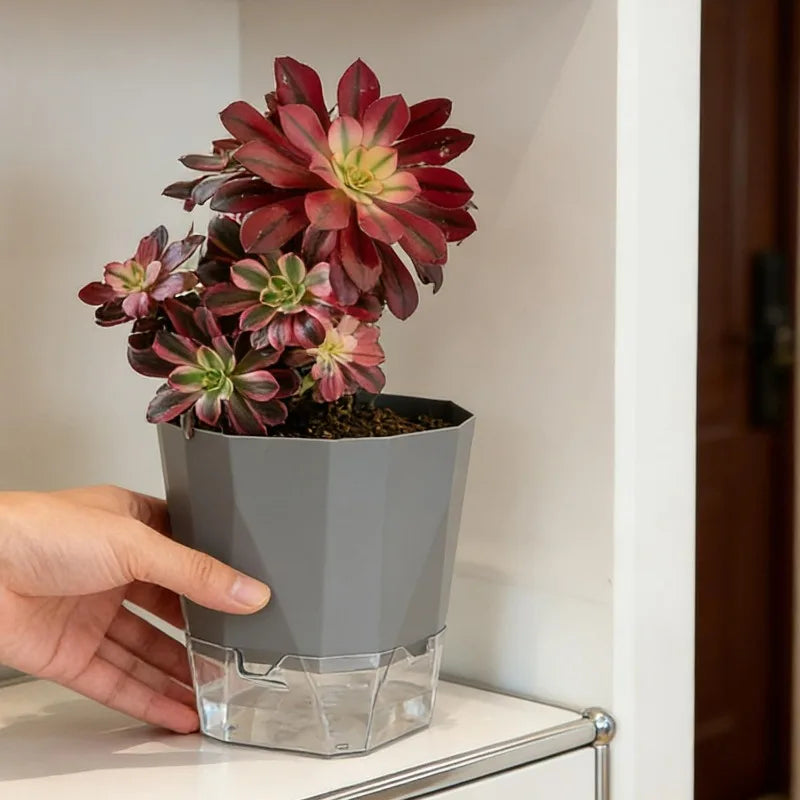 1/3PCS Self Watering Plants Pots Preventing Plant Drought Plastic Flowerpot with Injection Hole Indoor Outdoor Garden Supplies