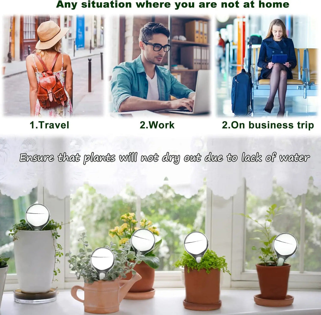 12 Pack Indoor Plant Watering Balls 13x5cm Automatic Self Watering System Transparent Globes for Potted Plants Watering Bulbs