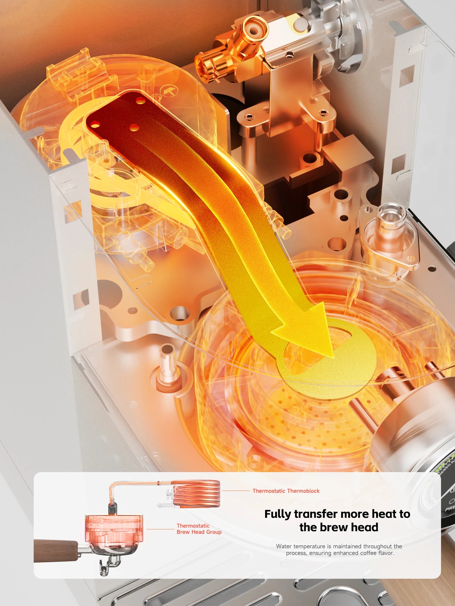 Internal view of espresso machine featuring thermostatic thermoblock and heated brew head for optimal extraction.