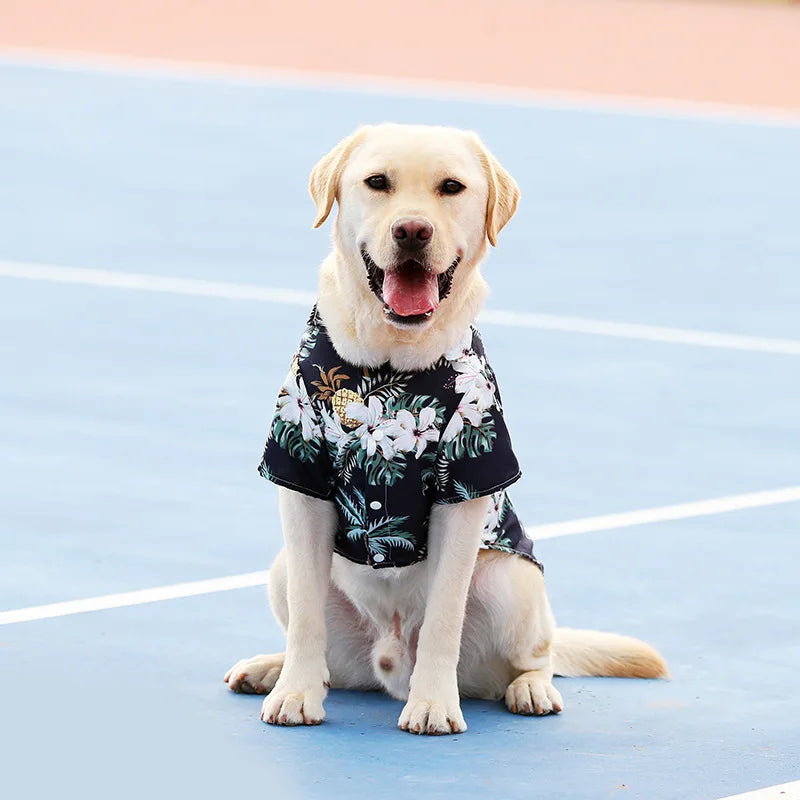 Labrador dog wearing a breathable black Hawaiian floral pet shirt for summer, available in sizes XS-5XL.