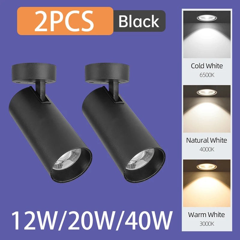 Set of two black surface-mounted LED spotlights with adjustable beam