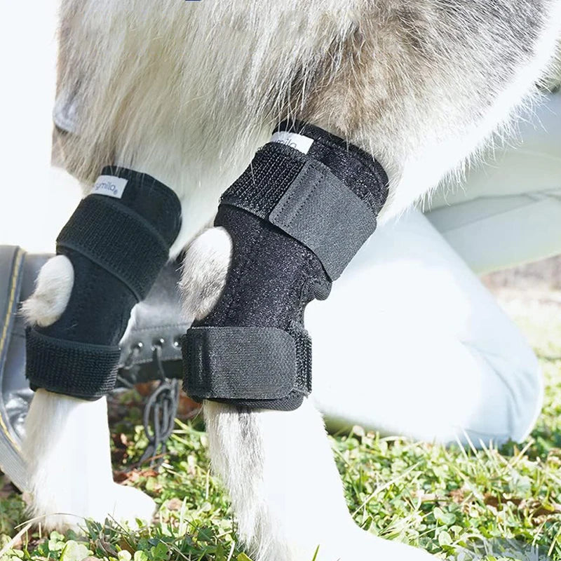 Black breathable dog leg hock joint wraps provide injury recovery support and joint protection for active pets.