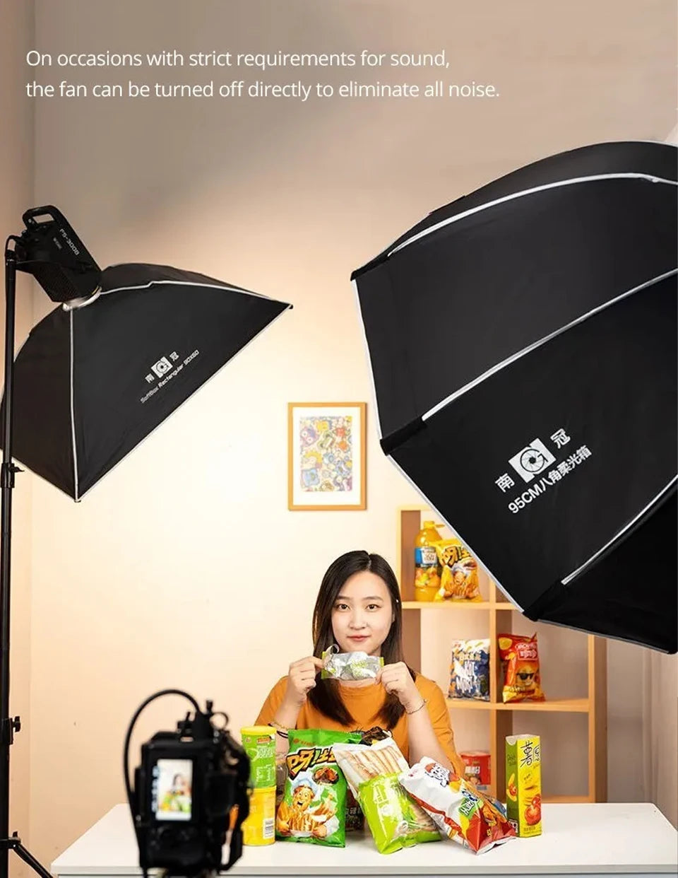 Nanlite FS-300B Bi-Color LED Video Light 350W Studio Lighting Tidesmit