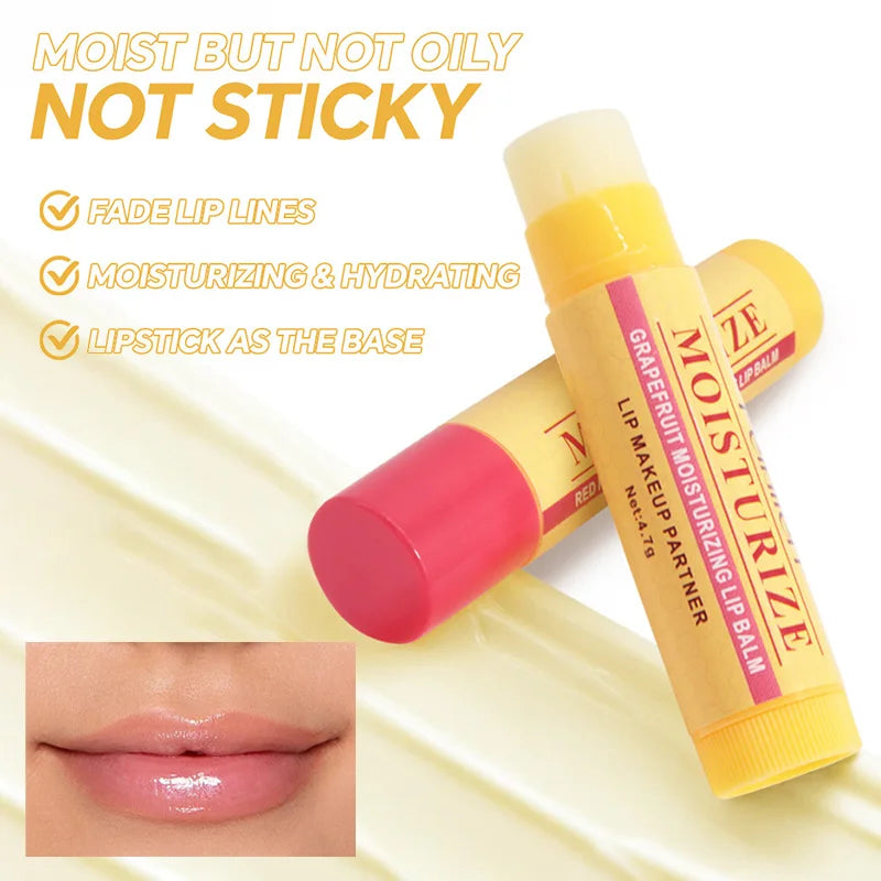 Natural Lip Balm Set - Deep Hydrating Plant-Based Lip Care Lip Care Tidesmit