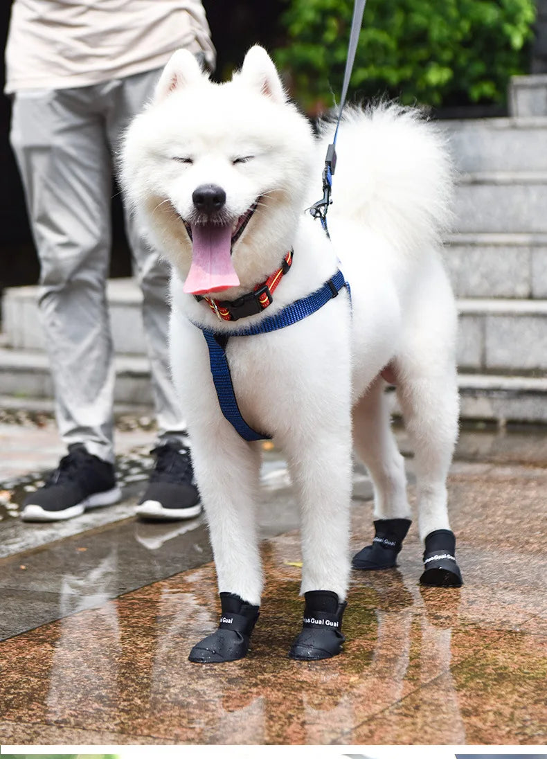 Happy white dog wearing waterproof, non-slip black rain boots for outdoor paw protection and comfort.