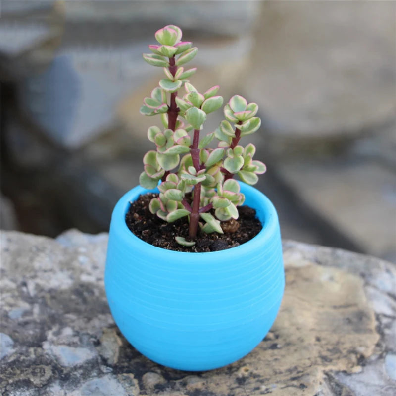Flower Pot Set Plastic Color Breathable Mini Gardening Plant Tools Household Balcony Desktop Greenery Succulent Flowerpot