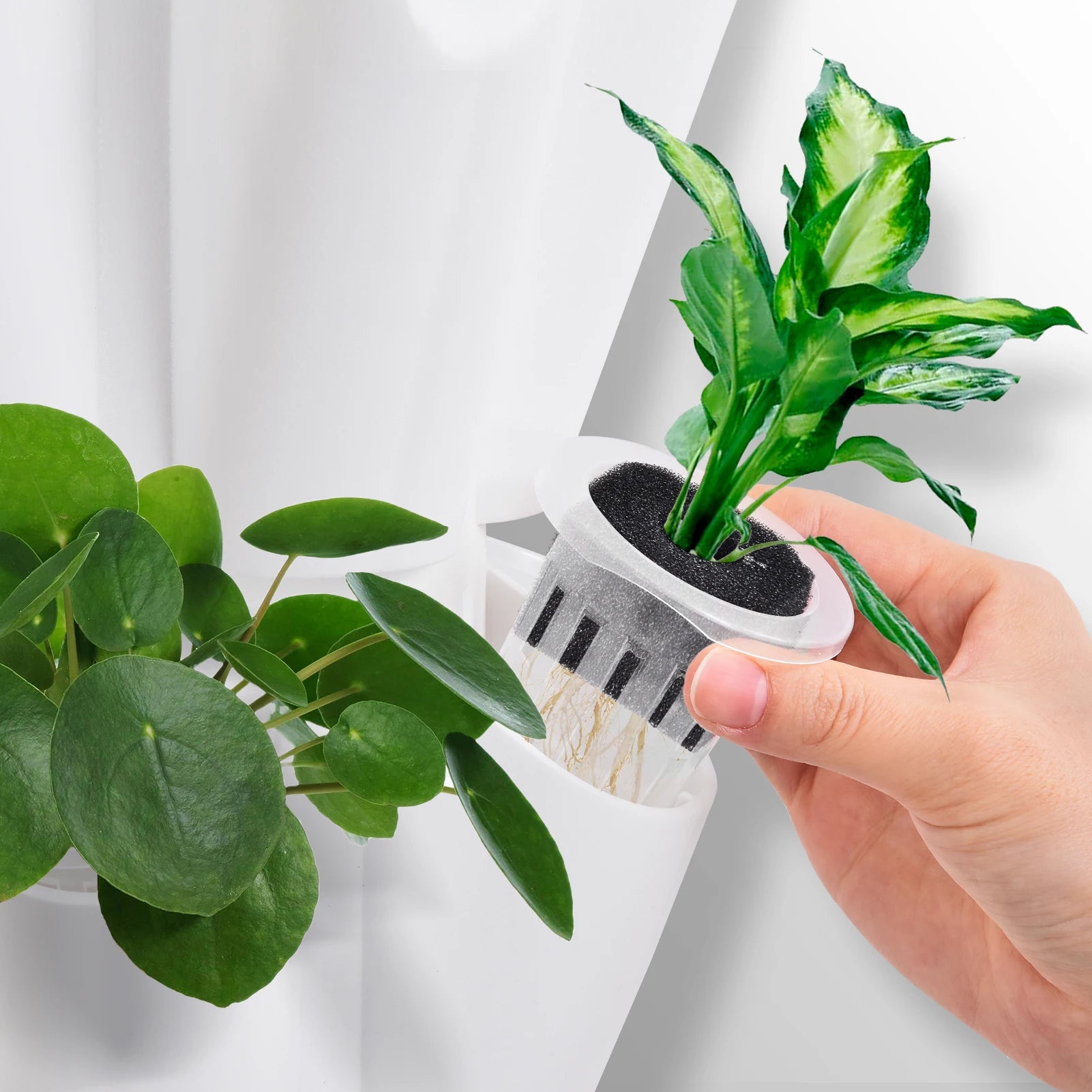 Hydroponics Growing Tower, Vertical Hydroponics Growing System with 50L Water Tank for Flowers Tomatoes