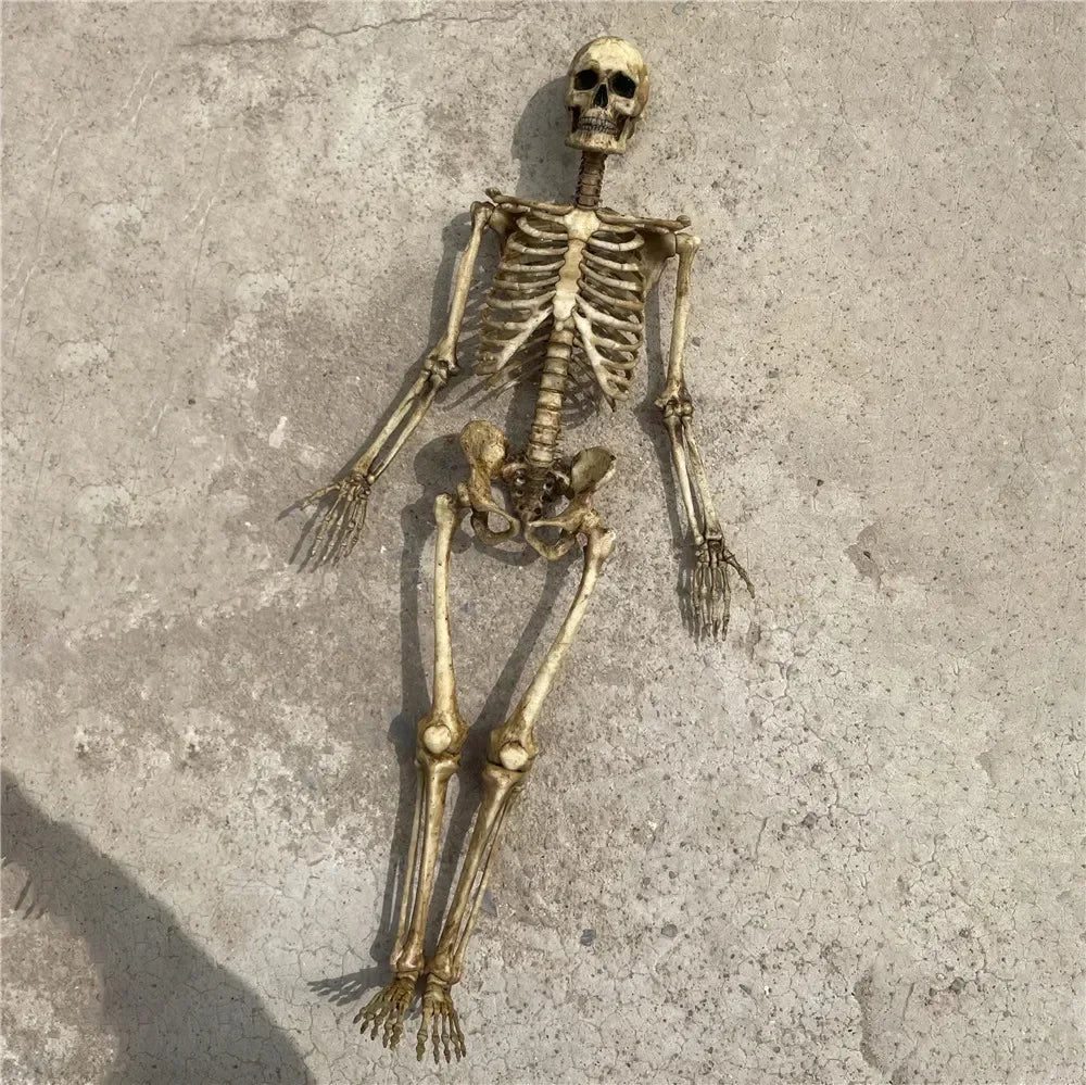 Miniature beige faux human skeleton model for reptile terrarium, aquarium decor, or gothic pet habitat styling.