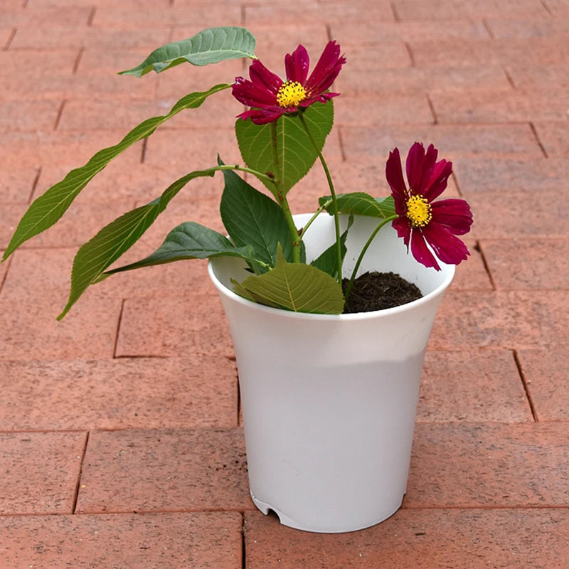 2/5Pcs White Plastic Flowerpots Simple Nursery Seedling Pot Flowers Seed Breeding Planters Container Box Garden Supplies Tool