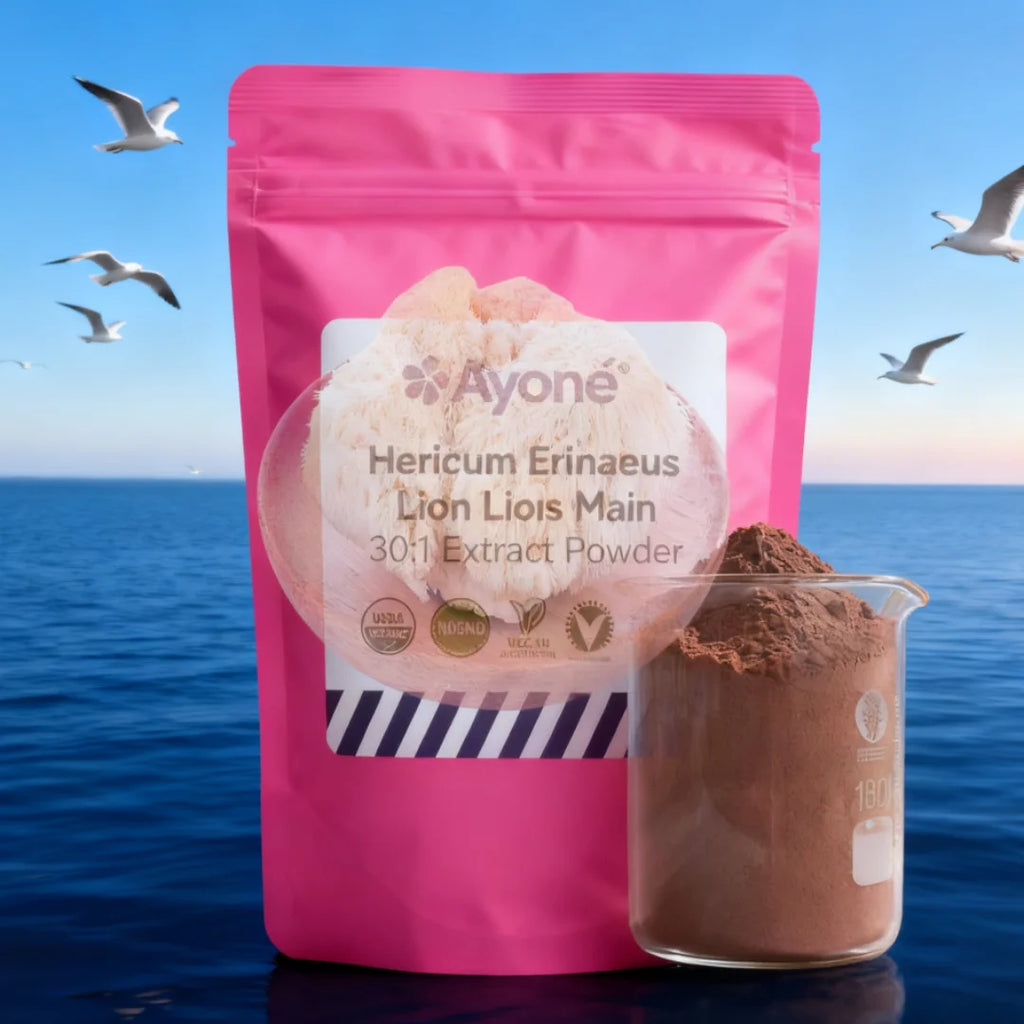 Customized Proportion Lions Mane Mushroom Extract Powder Packaging Bulk Hericium Erinaceus Out Packing Aluminum Foil Bag