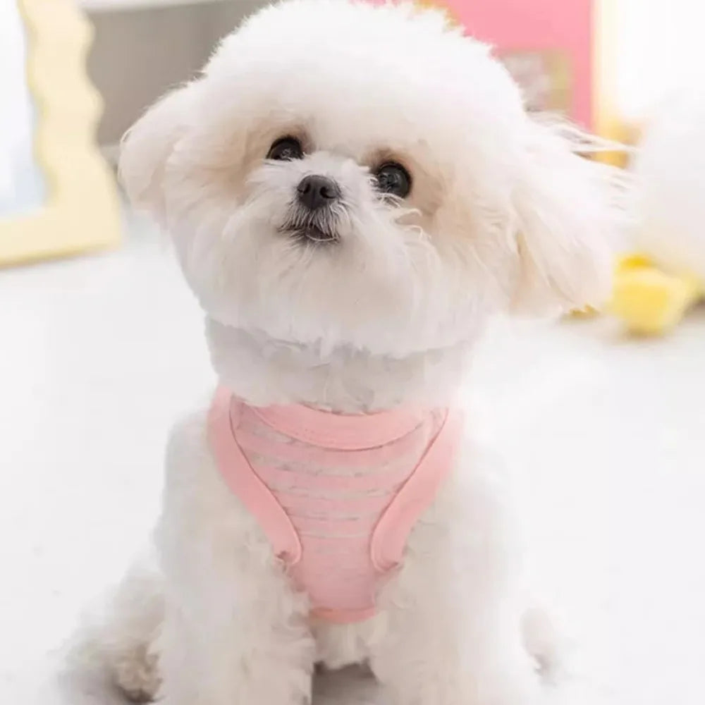 Small white dog wearing a breathable pink striped summer cooling vest for comfortable, lightweight puppy wear.