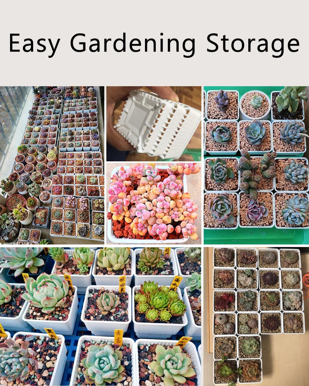 Meshpot Succulents Pots with Holes Cactus Lithops Plants Pot Seedlings Nursery Supplies Garden Kits Home Decoration