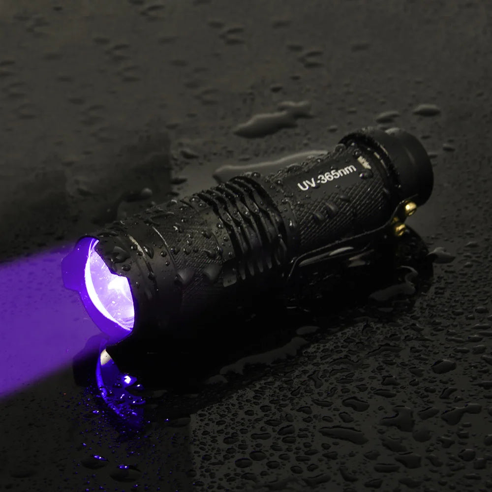 Portable black UV flashlight for detecting pet urine stains, 365nm zoomable mini metal lamp on wet surface.