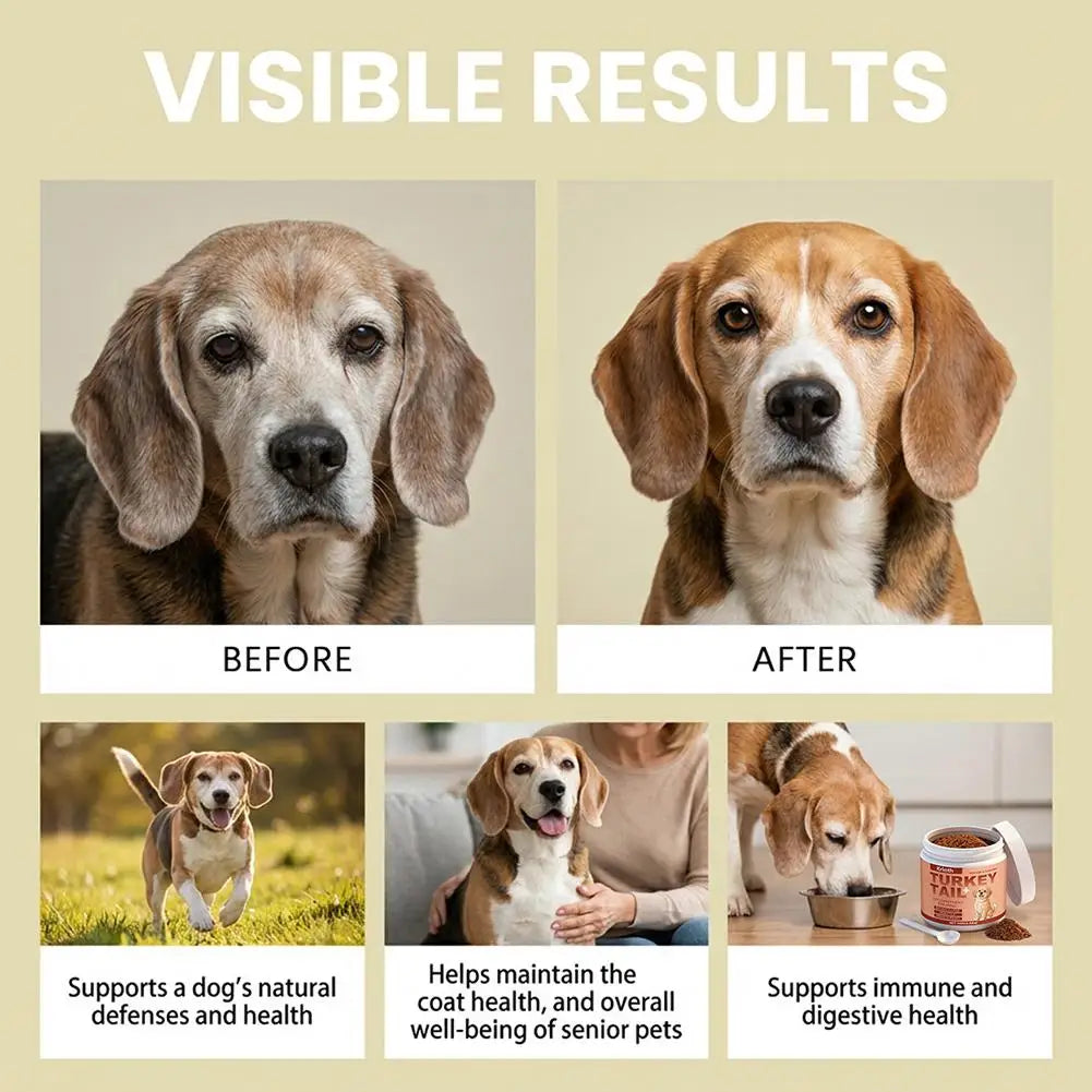 Dog Immune Support Supplement Turkey Tail Mushroom Powder With Probiotics Bacon Flavor For Gut Health And Defense System 3.53oz