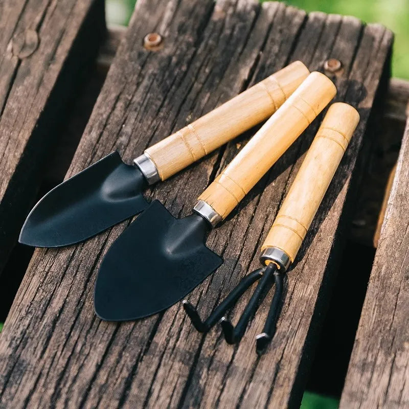 3PCS Planting Tools Mini Digging Weeding Garden Tool Set for Indoor Flower Pot Cactus Vegetables Small Plants Garden BZQ01