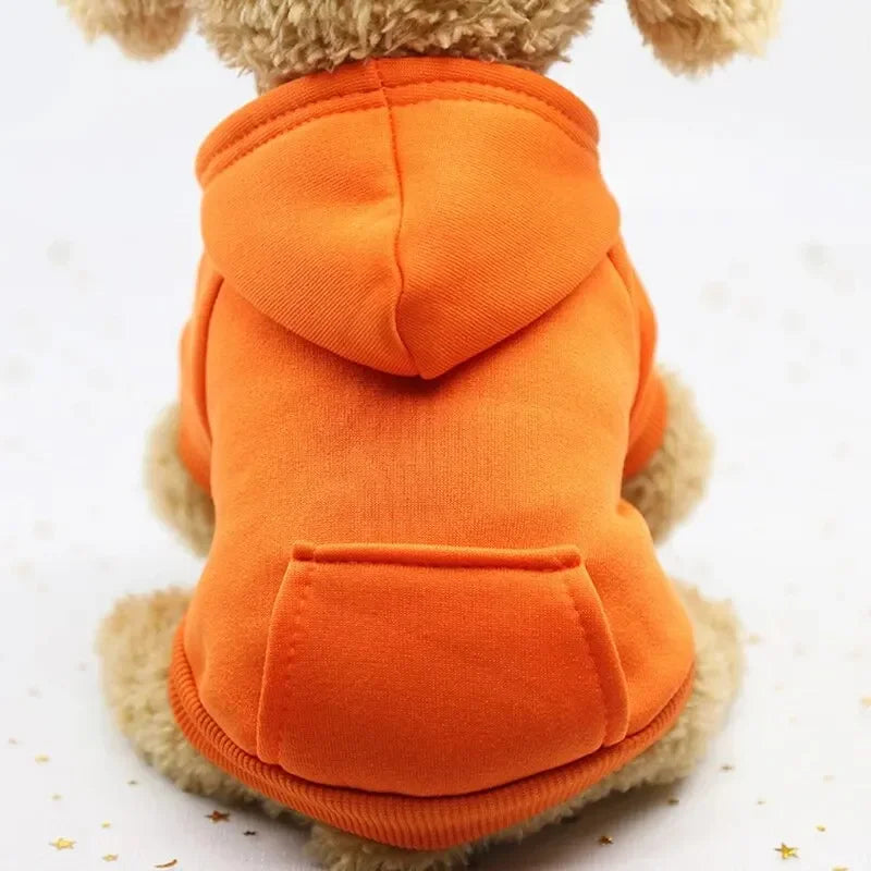 Small dog wearing a cozy orange hooded sweater for warmth, perfect for autumn and winter fashion.