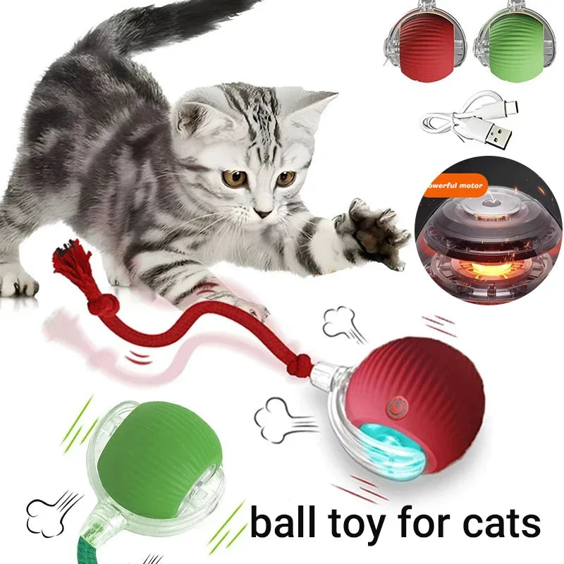 Rechargeable smart interactive ball toy for cats. Automatic rolling silicone ball with rope to engage kitten play.