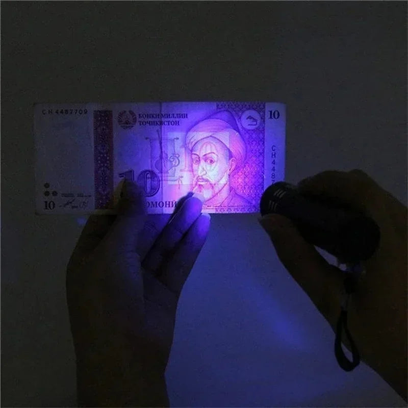 Portable zoomable UV flashlight for detecting pet urine stains and verifying currency in a compact black metal design.