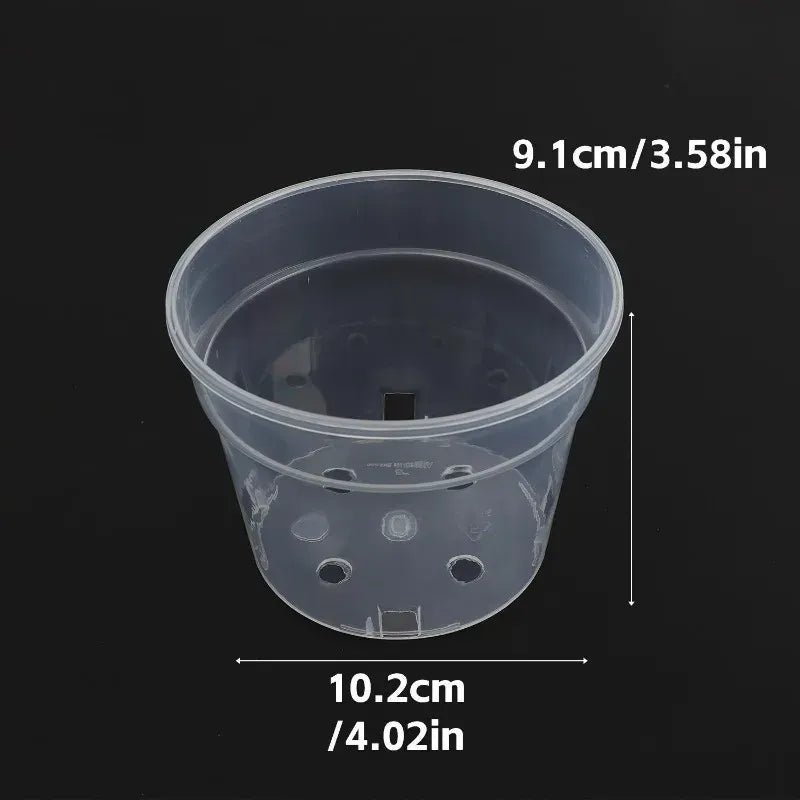 Transparent seedling cup planter with drainage holes, small 9.1cm x 10.2cm