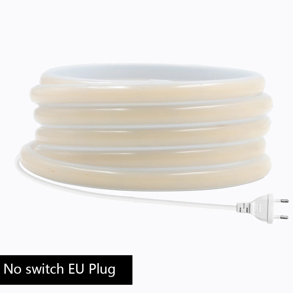 Flexible LED neon strip light kit with EU plug, no switch control