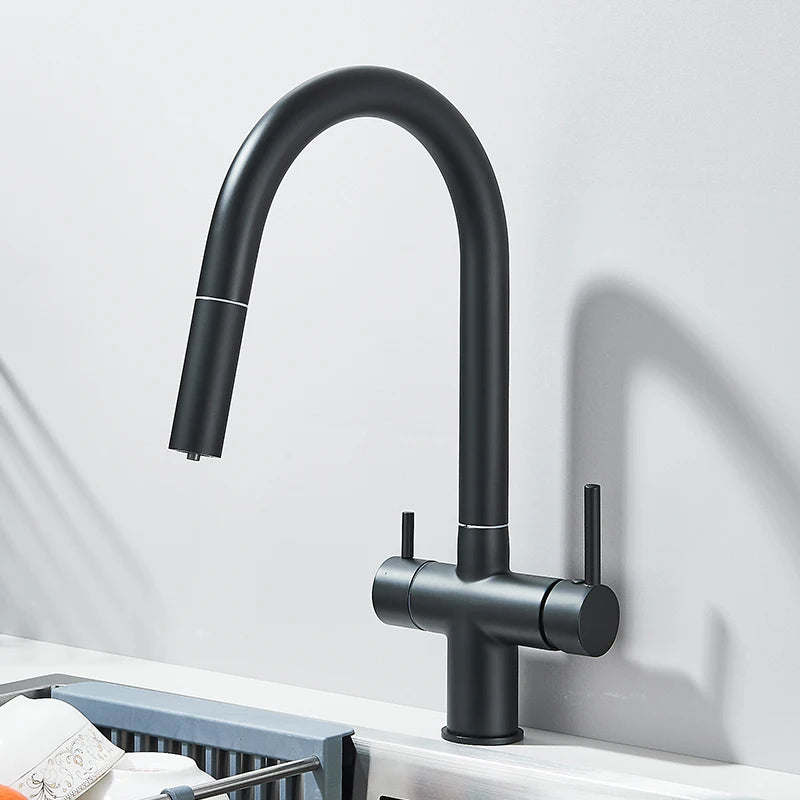 Pure Water Filter Kitchen Faucet Pull Out Flexible Kitchen Faucets Dual Handle Stainless Steel 2 in 1 Hot Cold Water Mixer Tap