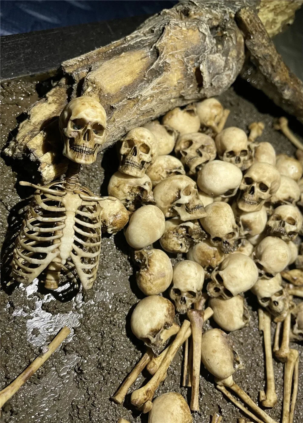 Mini 1:12 skeleton model for reptile tanks and aquariums. Realistic faux bone lizard cabinet decor for pet habitats.
