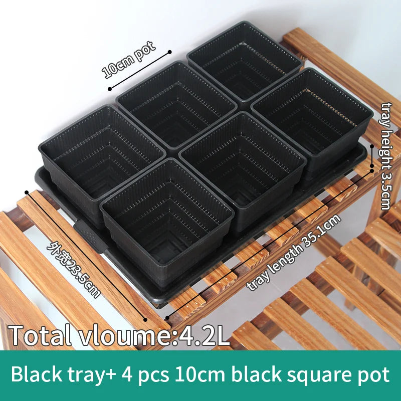Meshpot Succulents Pots with Holes Cactus Lithops Plants Pot Seedlings Nursery Supplies Garden Kits Home Decoration