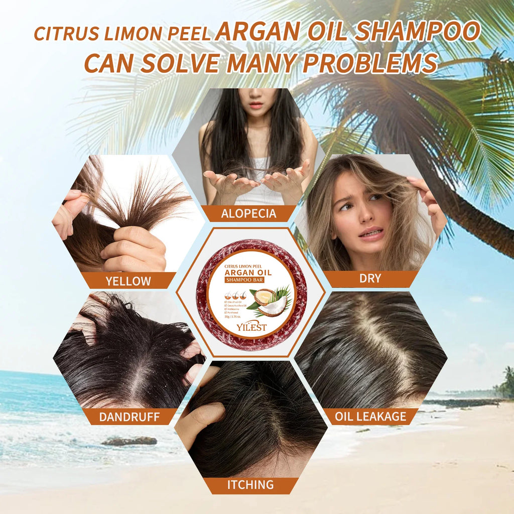 Argan Oil Shampoo Soap Bar Anti Hair Loss Repair Damaged Frizz Argan Oil Scalp Treatment Hair Care for Hair-Gentle Moisturizing