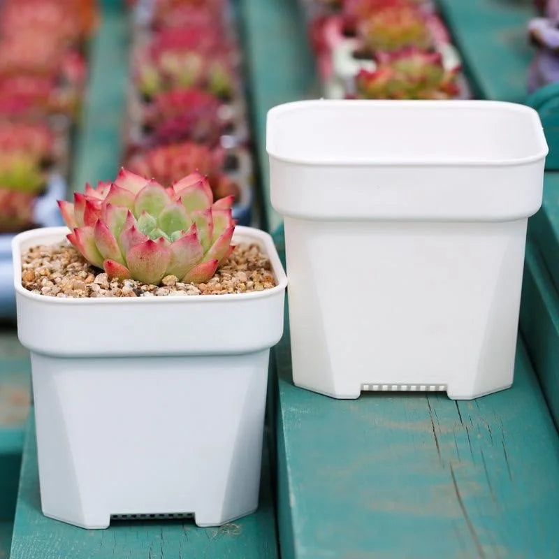 Pair of white square succulent planter pots with drainage slots on base