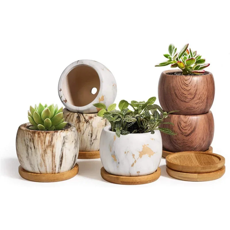 Ceramic succulent flower pot set with marble white, wooden-brown pots, and round bases