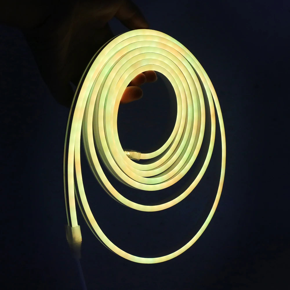 Bluetooth RGB LED Neon Strip Light 5V 3AA Battery Box 17Key 24key 44key Remote Control 108Leds/M 1M 2M 3M Waterproof Home Decor
