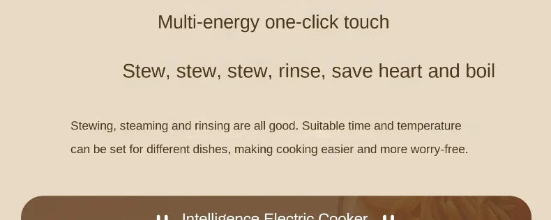 220V electric non-stick cooking pot with one-touch cooking modes overview panel