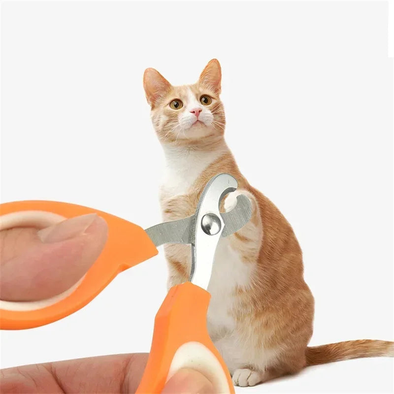 Orange stainless steel cat nail clippers grooming a ginger cat’s claws safely and easily.