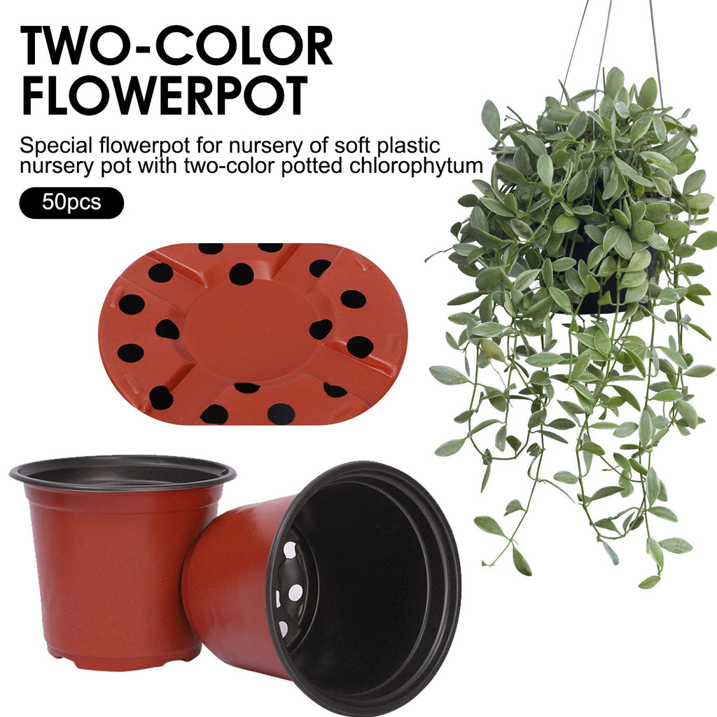 Red plastic planter pots with black rims and drainage holes, set view