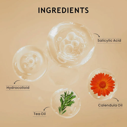 Acne patch ingredients diagram with hydrocolloid, salicylic acid, tea tree, calendula oil