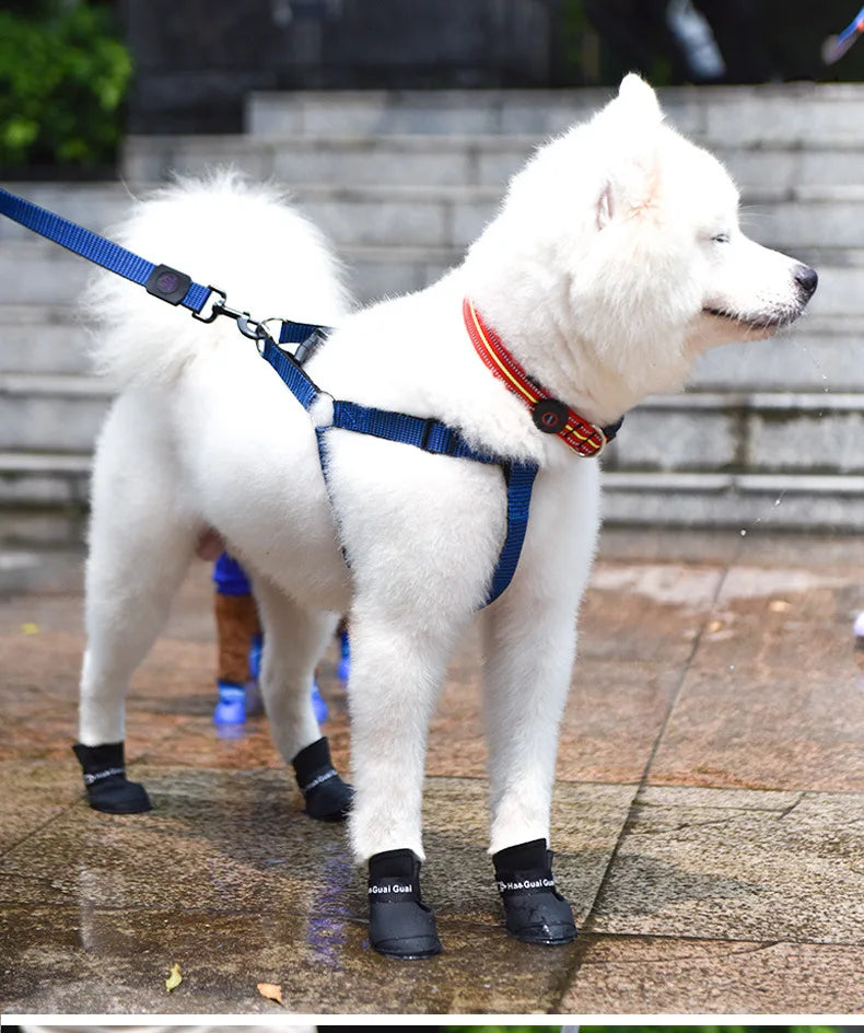 White Samoyed wearing black waterproof, non-slip dog rain boots for dry, protected paws during outdoor walks.